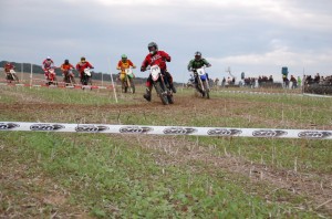Badem SC-113