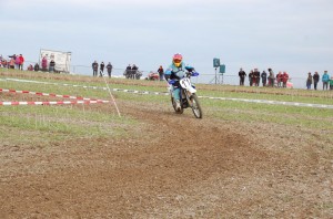 Badem SC-181