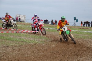 Badem SC-201