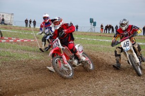 Badem SC-206