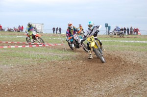Badem SC-217