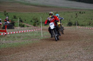 Badem SC-275
