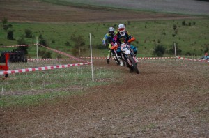 Badem SC-278