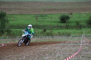 Badem SC-313