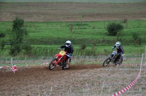 Badem SC-315