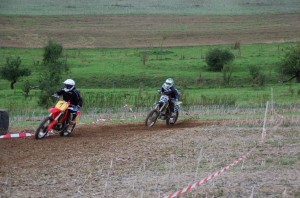 Badem SC-316