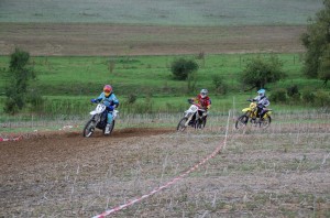 Badem SC-321