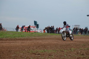 Badem SC-378