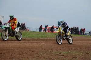 Badem SC-384