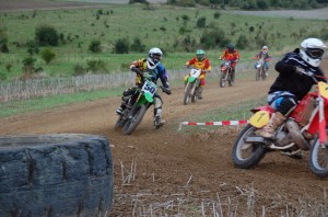 Badem SC-501