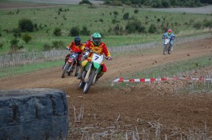 Badem SC-503