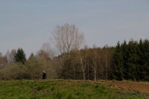 20160501140717e37839