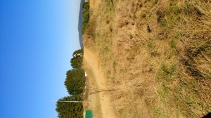SC-Haiger2016 (103)