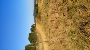 SC-Haiger2016 (105)