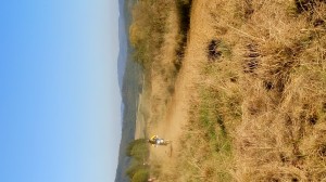 SC-Haiger2016 (121)