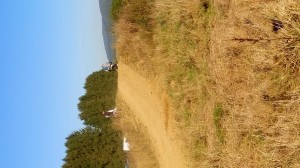 SC-Haiger2016 (131)