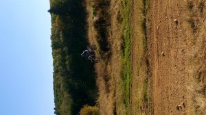 SC-Haiger2016 (63)