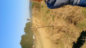 SC-Haiger2016 (69)