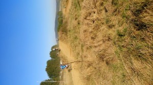 SC-Haiger2016 (76)