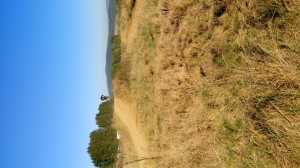 SC-Haiger2016 (95)